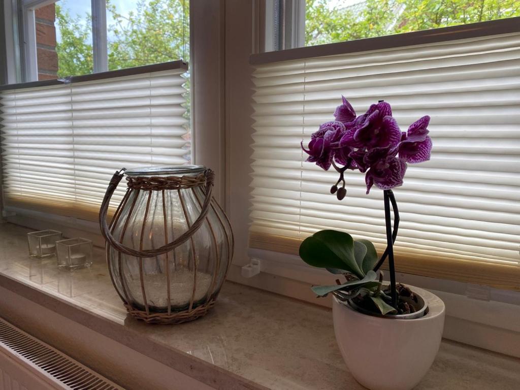 Haus Jenny Wohnung E1 Mit Terrasse Boltenhagen  Bagian luar foto